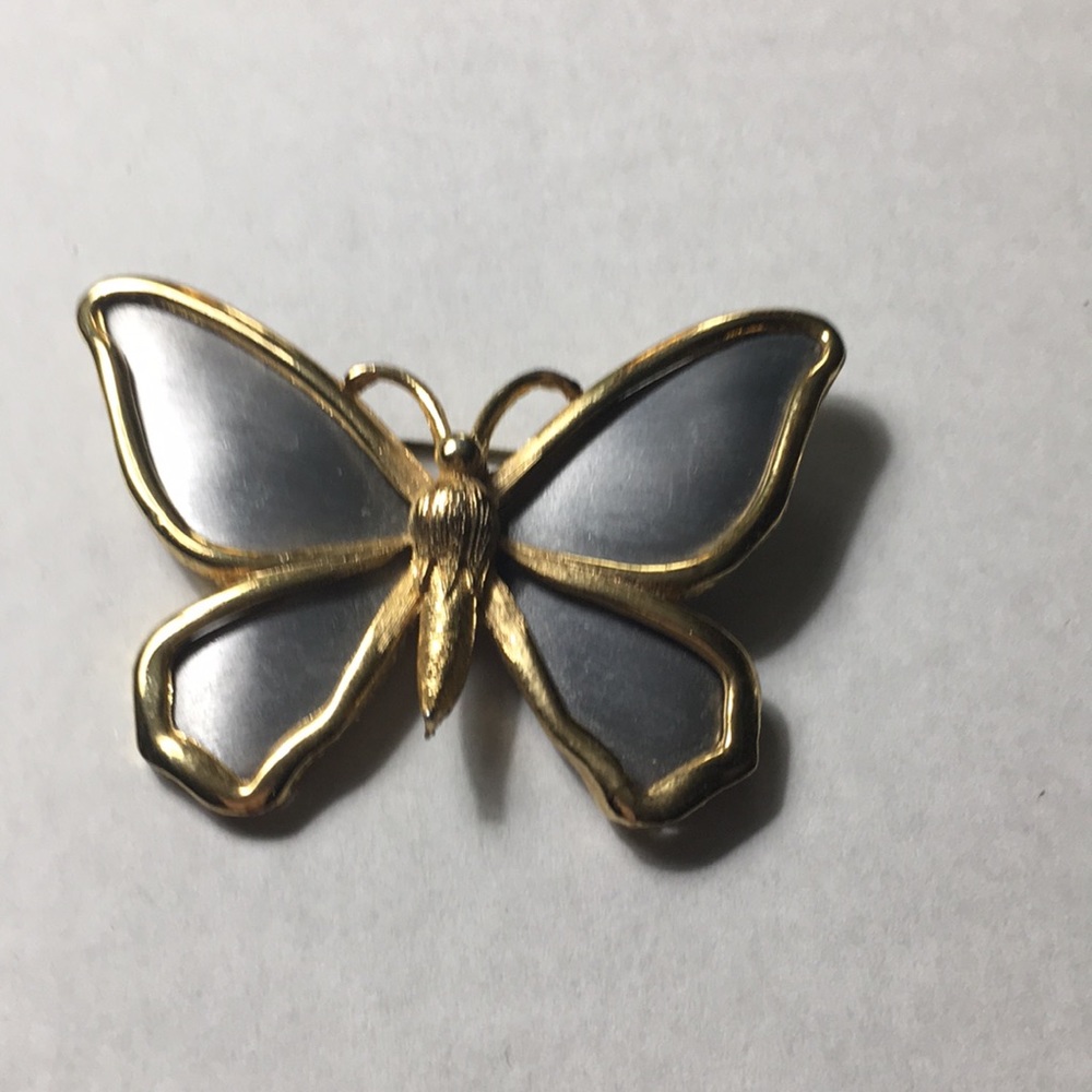 Beautiful butterfly pin